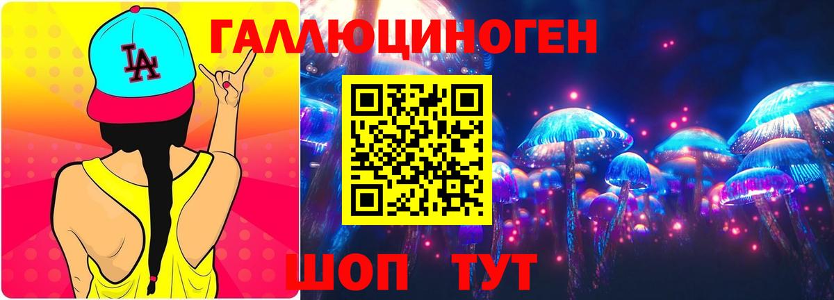 Псилоцибиновые грибы Magic Shrooms  Вход с VPN  Евпатория  Галлюциногенные грибы Psilocybine cubensis 